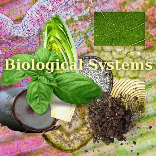 Interior design Children's Packages - 8 Interior design Children's Packages - 8